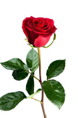 Send ex girlfriend your text to sweet The Very